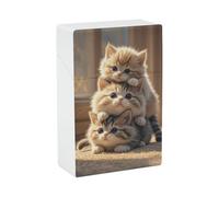 Portasigarette - Elegante portasigarette in plastica con tre simpatici gattini per donne e uomini, organizer portatile antiurto per sigarette