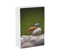 Portasigarette Rocks and Bugs, resistente agli urti, impermeabile, in plastica rigida, elegante portaaccendino per uomo/donna