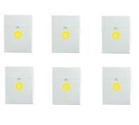 Portasigarette XXXL Mega per 30 sigarette in argento metallizzato custodia in plastica (argento metallizzato - 6 scatole)