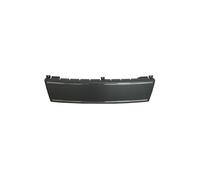 Portatarga anteriore con modanatura cromata per Audi A4 11/2004-6/2008