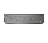 Portatarga Anteriore Per Volkswagen Passat Cc Dal 2008 Al 2011 Vg6201539