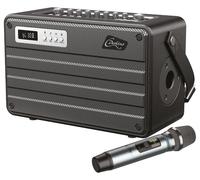 Portatile Amplificatore Combo Con senza Fili Microfono - ROADY FL