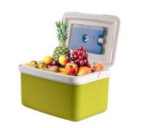 Portatile - Scatola Porta Vivande Impermeabile Con 4 Di Ghiaccio,Termico Portatile Capiente Con Maniglia Ergonomica Per Viaggio Spiaggia Picnic Campeggio