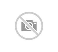 Portavaligie GIVI per valigia monokey o monolock senza targa, per BMW G 310 GS (17-21)