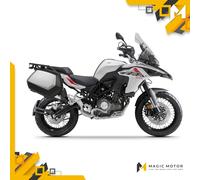 Portavaligie laterali SHAD 3P System B0TX58IF