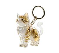 Porte-clés Poils Animaux - Transparent ABS Forme Chat Souvenir, Médaillon Mémorial Portable Compagnon, Bijou Sac Main Portefeuille Déco | Petit Objet Collection Pour Honorer Ami Fourrure