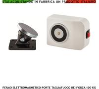 PORTE TAGLIAFUOCO REI ELETTROMAGNETE BIANCO TRAZIONE 100 KG INCENDIO ALIM. 24 V