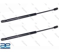 Portellone Molla a Gas Sollevare Supporti Scossa Molle SX Dx Per Suzuki Ertiga
