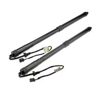 Portellone Molle Gas Per Ford Per C-MAX 2010 2011 2012 2013 2014 2015-2019 Leva Supporto Del Portellone Posteriore Elettrico Sinistro Destro Destro 2Pezzi 2359184 2359182 Cancello