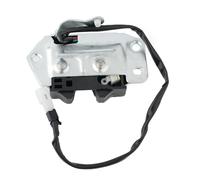 Portellone Posteriore Serratura Chiavistello Nero & Argento di Qualità Materiale