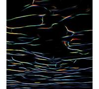 Porter Ricks - Biokinetics