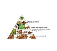 Al Haramain Portfolio Oriental Forest Eau de Parfum da uomo 75 ml