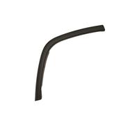 Portiera, modanatura BLIC 5703-08-3206376P