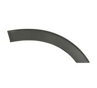 BLIC 6601-02-2518424P Modanatura decorativa / protettiva, Portiera