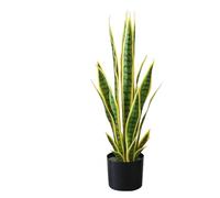 PortoAlegre - Sansevieria artificiale, pianta in vaso da 70 cm, pianta tropicale artificiale con foglie realistiche per decorazione della casa, soggiorno, giardino, colore: Giallo