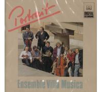 Portrait Ensemble Villa Musica