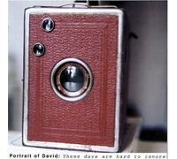 Portrait of David - These Days are Hard to Ignore