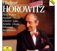 Portrait of Vladimir Horowitz