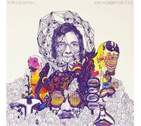 Portugal The Man - In The Mountain In The Cloud (2 LP)