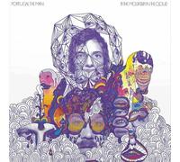 Portugal. The Man In the Mountain in the Cloud (Vinyl LP) 12" Album