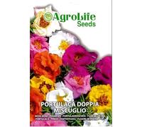 PORTULACA DOPPIA MISCUGLIO SEMI IN BUSTINA