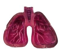 Posacenere in Resina Posacenere a Forma di Polmone Umano Portasigarette per Sigari Ornamenti per Soggiorno per La Casa