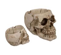 Posacenere teschio testa di morto realistico in poliresina pietra artificiale pe
