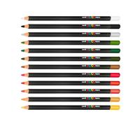 POSCA Matite Colorate Olio E Cera Base Professionale Artista