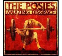 Posies, the - Amazing Desgrace
