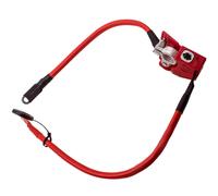 Positive Battery Blow Off Cable for BMW 3er F30 F31 F34 4er F36 F33 F32 320 325