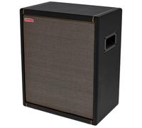 Positive Grid Spark CAB
