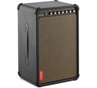 Positive Grid Spark LIVE Combo Modeling Chitarra