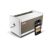 Positive Grid Spark 40 PW