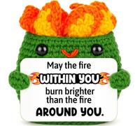 Positivo Crochet Dumpster Furioso Fuoco Incoraggiamento Regali per Donne | Regali di incoraggiamento per donne e uomini ispiratori laurea nuovi inizi cambiamento di carriera decorazione motivazionale