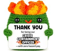 Positivo Crochet Dumpster Raging Fire Admin Regalo di ringraziamento per | Amministrativo Professionale Giorno Regali Collaboratore Grazie Dipendente Apprezzamento Divertente Ufficio Scrivania Decor