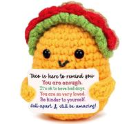 Positivo Crochet Taco Supporto emotivo ispiratore Regali motivazionali Apprezzamento dei dipendenti Regalo di compleanno per donne uomini amici sorella fratello Bestie Cool Office Workspace Desk Decor