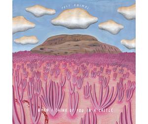 Post Animal When I Think Of You In A Castle (CD)