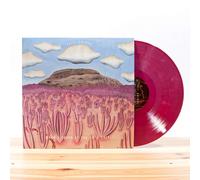 Post Animal When I Think Of You In A Castle (Vinyl LP)