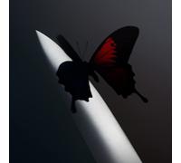 Post Malone Twelve Carat Toothache (Cassette)