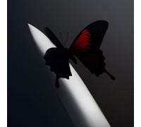 Post Malone Twelve Carat Toothache (Vinyl LP) 12" Album Coloured Vinyl