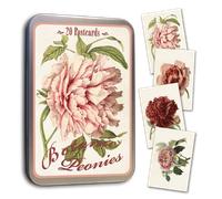POSTCARDS FIORE ROSA PEONIA DECORATO SKONATING CARTOLINE MINI QUADRI + SCATOLA