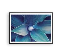 Poster 100x70cm Agave blu fiore Stampe Immagini Quadri Moderni Murale