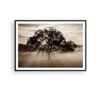 Poster 100x70cm albero campo natura Stampe Immagini Quadri Moderni Murale