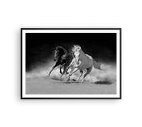 Poster 100x70cm Andaluso Cavalli Galoppo Stampe Immagini Quadri Moderni Murale