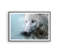 Poster 100x70cm Bianco il lupo foto Stampe Immagini Quadri Moderni Murale