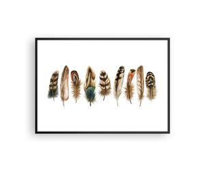 Poster 100x70cm Bianco Sfondo Piume Stampe Immagini Quadri Moderni Murale