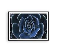Poster 100x70cm Blu Cactus Fiore Stampe Immagini Quadri Moderni Murale