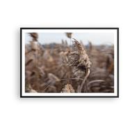 Poster 100x70cm Boho Spighe Di Grano Erba Stampe Immagini Quadri Moderni Murale