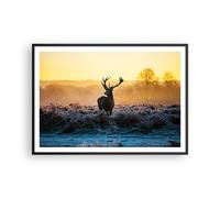Poster 100x70cm Campo nebbia natura albero Stampe Immagini Quadri Moderni Murale