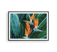 Poster 100x70cm Celeste uccello fiore Stampe Immagini Quadri Moderni Murale